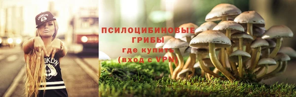 синтетический гашиш Алексин